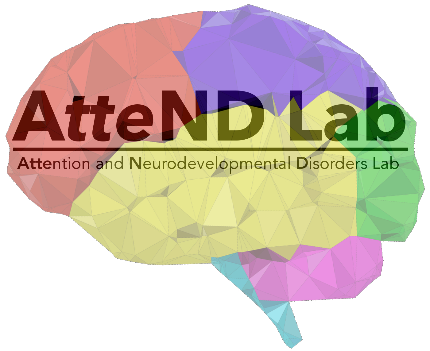 Contact Us - Attention and Neurodevelopmental Disorders Lab